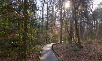 Winding Path Through Forest in Columbia, South Carolina | Stratos Jet Charters, Inc.