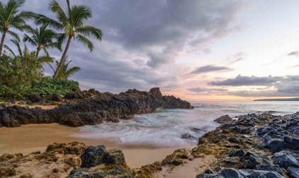 Rocky Beach with Palm Trees in Maui, Hawaii | Stratos Jet Charters, Inc.