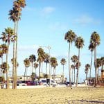 Santa Ana, CA Palm Trees on a Beach | Stratos Jet Charters, Inc.