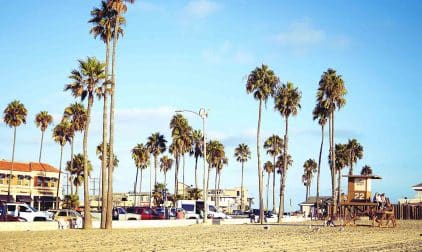 Santa Ana, CA Palm Trees on a Beach | Stratos Jet Charters, Inc.