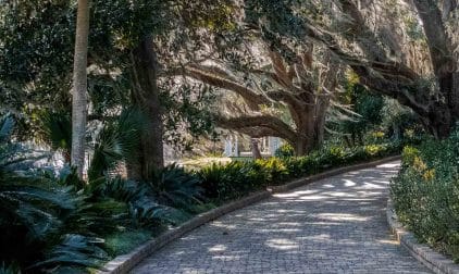 Scenic Road in Tallahassee | Stratos Jet Charters, Inc.