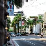 Palm Trees Along Street in Beverly Hills | Stratos Jet Charters, Inc.