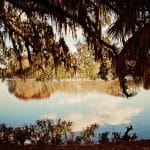 Reflection of Trees on Lake in Gainesville, Florida | Stratos Jet Charters, Inc.