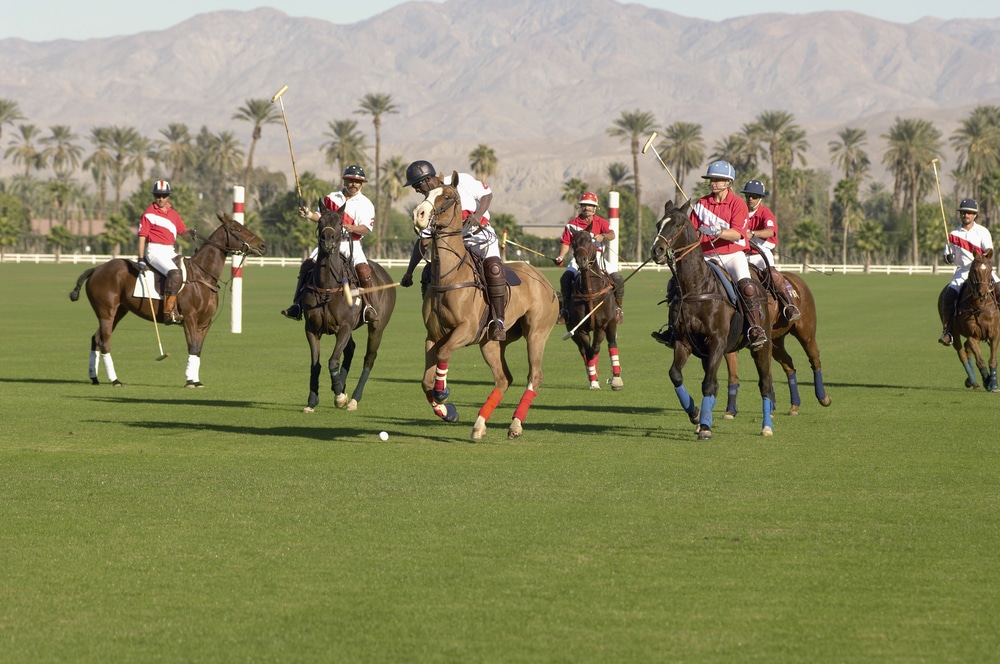 People playing polo in a field.