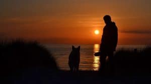 Pet Friendly Jet Charter Flights