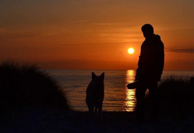 Pet Friendly Jet Charter Flights