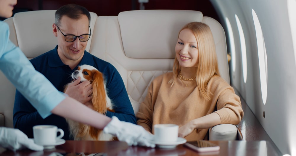 A couple traveling on a private jet with their dog.