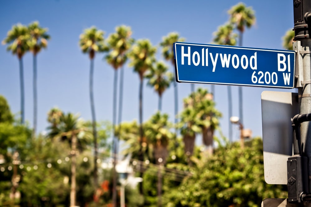 The Hollywood Boulevard sign against a backdrop of palm trees.