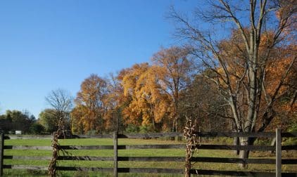 Bedford Farm During Fall | Stratos Jet Charters, Inc.