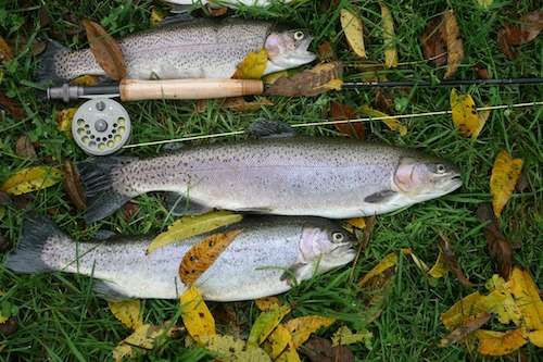 private jet charter for fishing in Montana