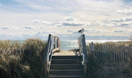Beach in Cape Cod | Stratos Jet Charters, Inc.