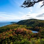 Trees in Autumn by Bar Harbor Shoreline | Stratos Jet Charters, Inc.