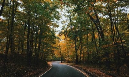 Road in Forest in Harbor Springs, Michigan | Stratos Jet Charters, Inc.