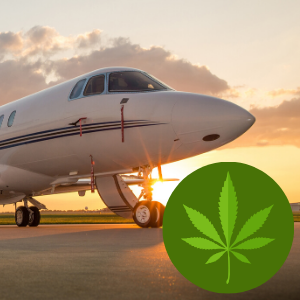 Can You Smoke On A Private Jet Charter Can I Bring Weed On A Private Jet Charter Stratos Jet Charters Inc