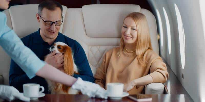 couple with pet on private jet
