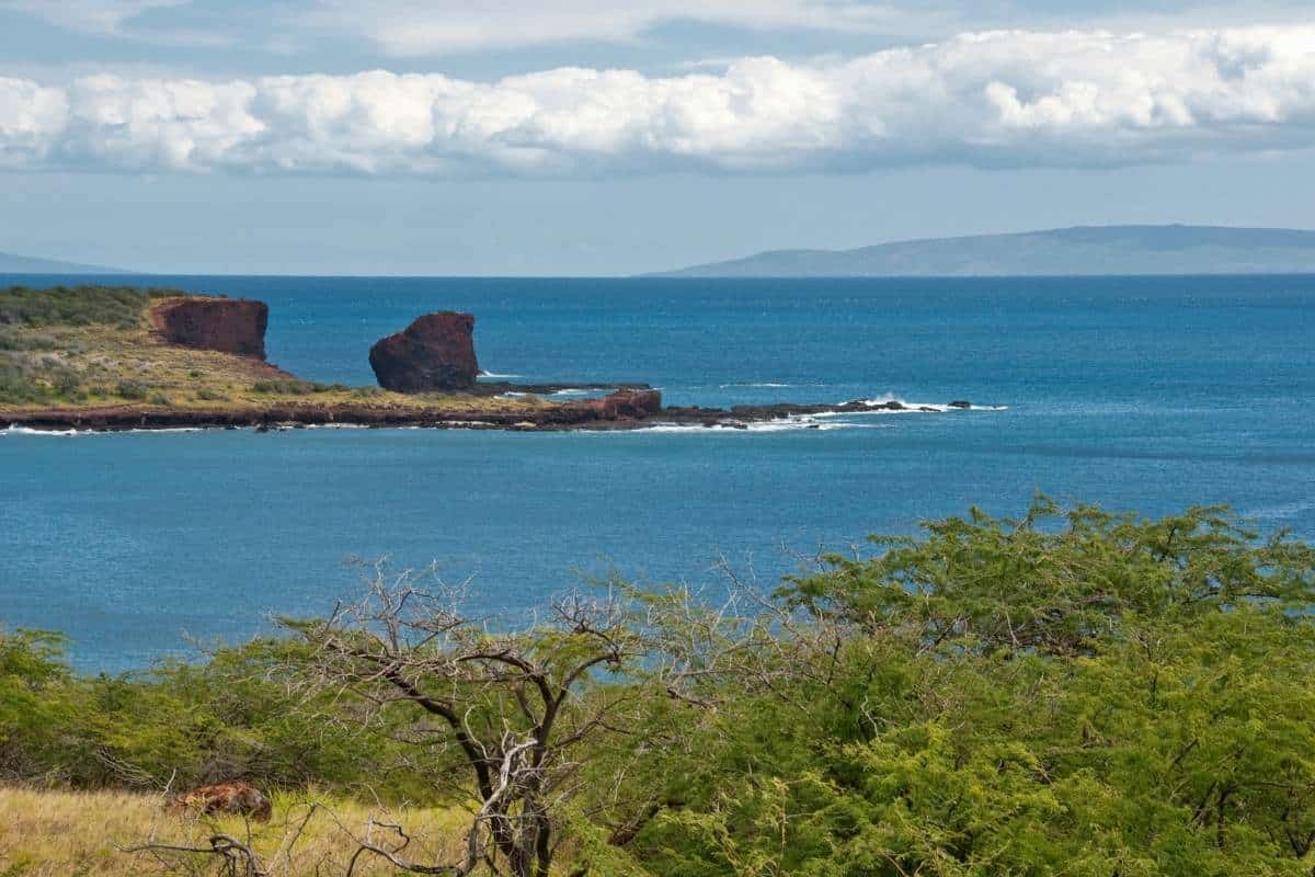 picture of beach in lanai, hawaii